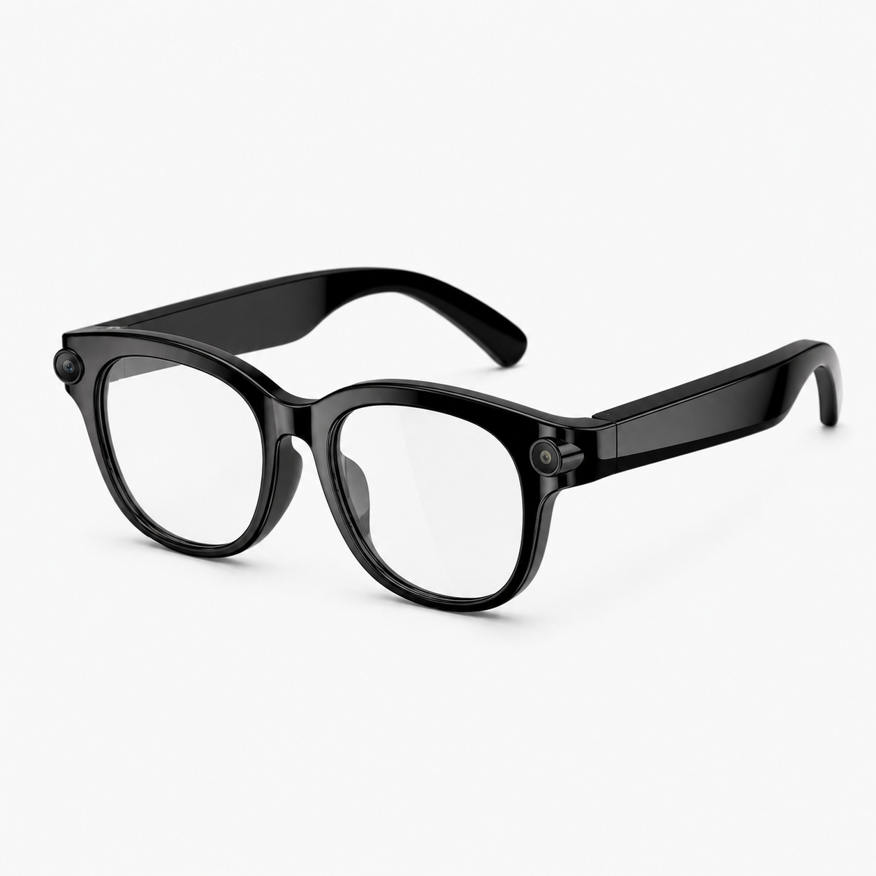 Soverign AI Glasses